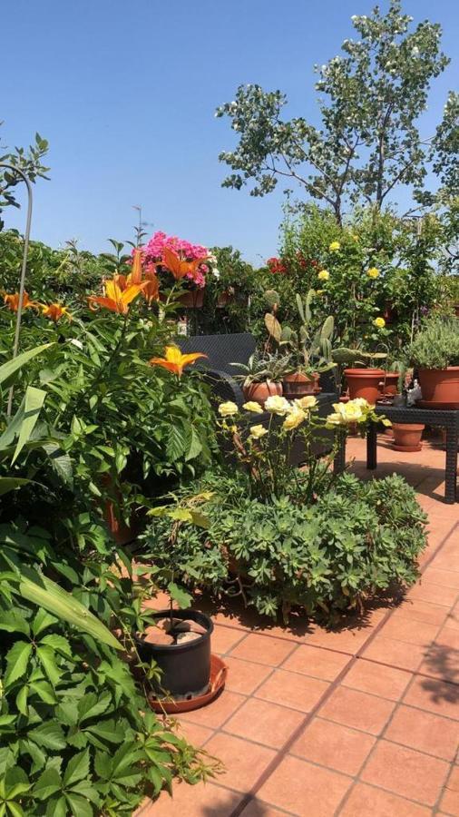 Апартаменты Il Giardino Sui Tetti Болонья Экстерьер фото